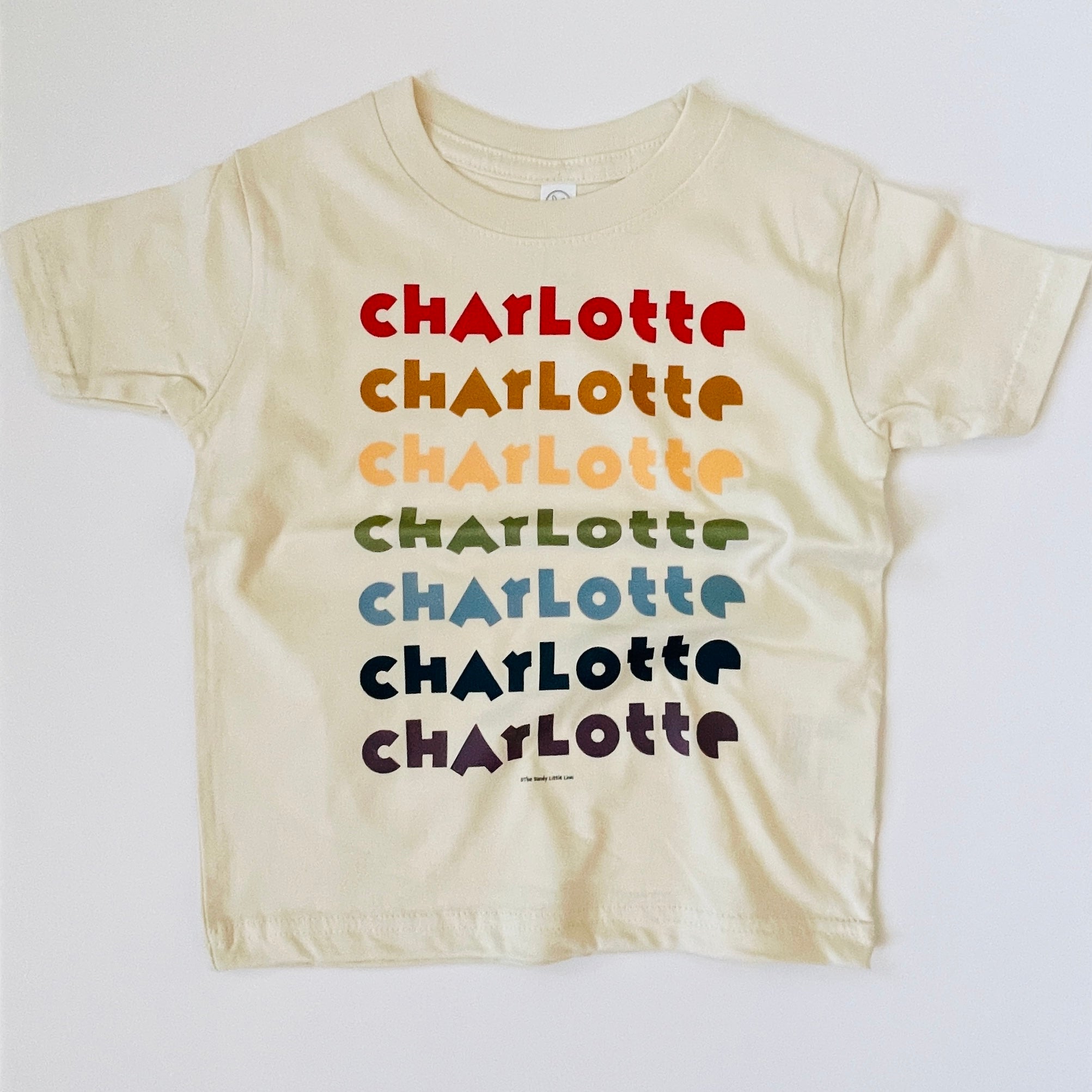 City T-Shirt Rainbow CHARLOTTE